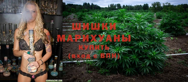 ГАЛЛЮЦИНОГЕННЫЕ ГРИБЫ Бронницы