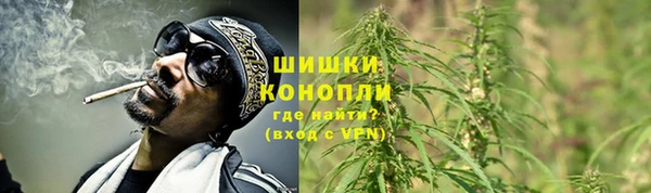 МДПВ Бородино