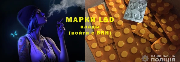 МДПВ Бородино