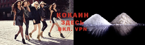 крисы Туринск
