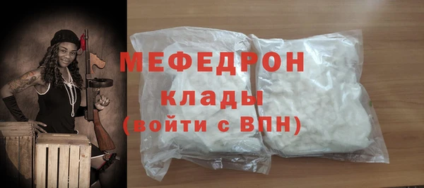 МДПВ Бородино
