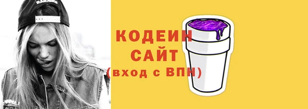 МДПВ Бородино