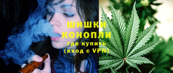 МДПВ Бородино