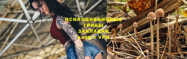 ГАЛЛЮЦИНОГЕННЫЕ ГРИБЫ Бронницы
