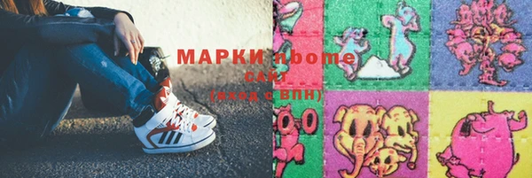 МДПВ Бородино